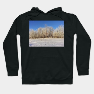 Saskatchewan winter trees Hoodie